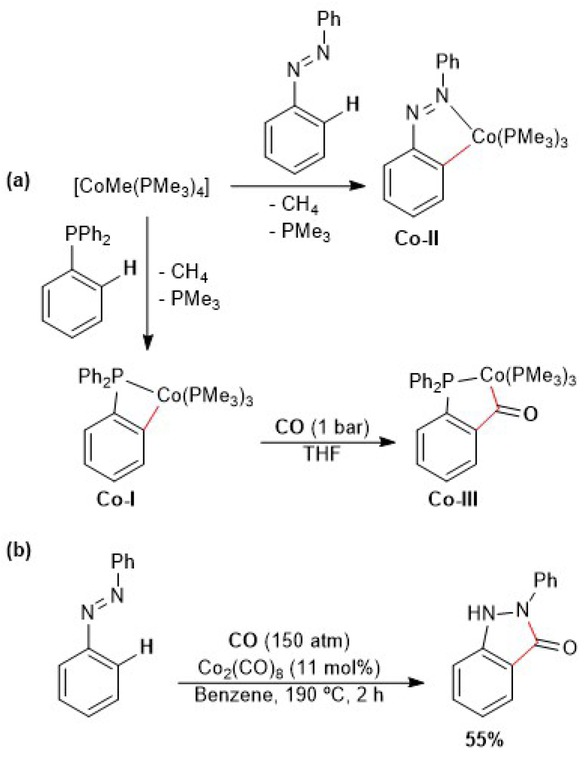 Scheme 4.1. (a) Synthetic strategy for formation of organocobaltacycles and (b) first C–H carbonylation reaction catalyzed by Co2(CO)8.