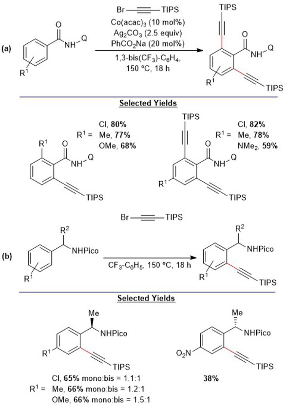 Scheme 4.19. Cobalt-catalyzed alkynylations of arenes by quinoline (Q) and picoline (Pico) assisted C–H activation. Adapted from references [88] and [89].