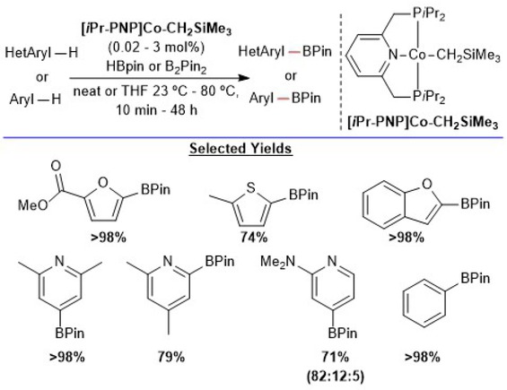 Scheme 4.22. Cobalt-catalyzed borylation of arenes/heteroarenes by C–H activation. Adapted from references [90] and [91].