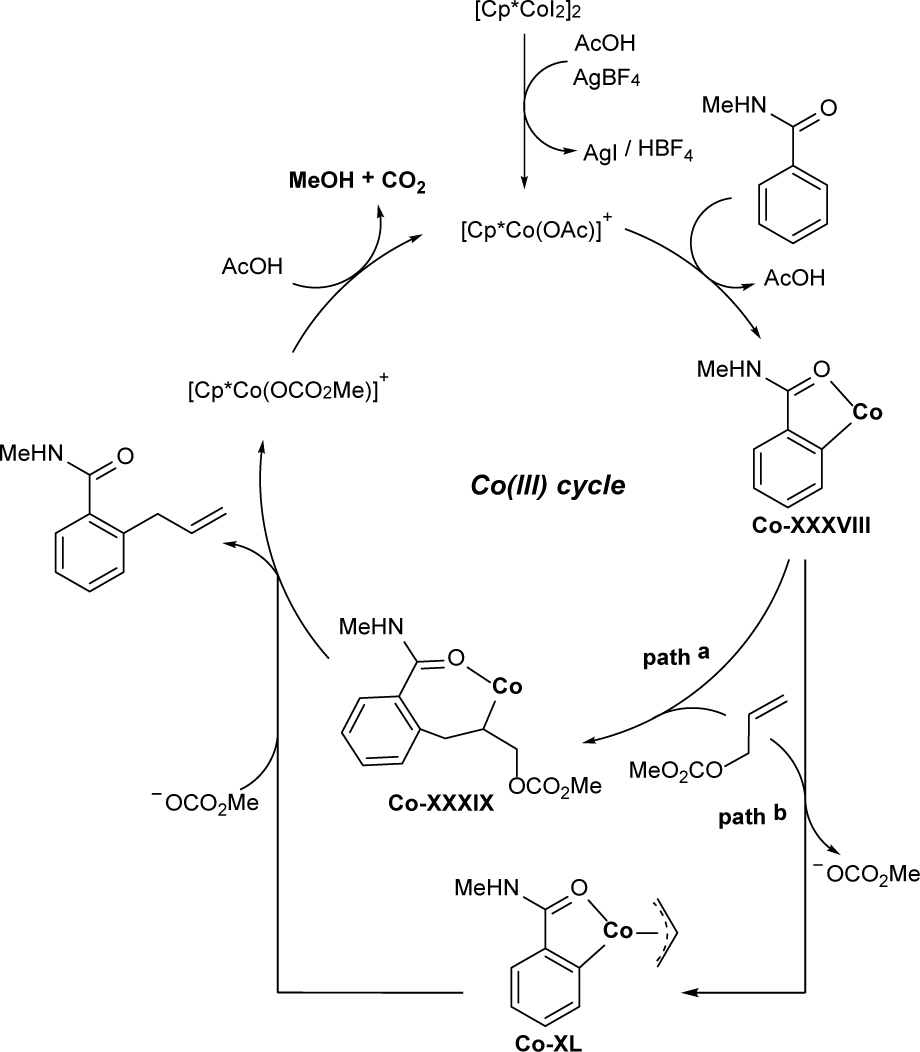 Scheme 4.36. Proposed catalytic cycle for the cobalt-catalyzed allylation of arenes/heteroarenes.