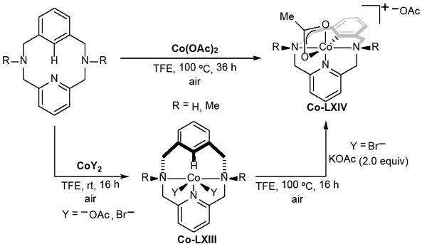 Scheme 4.61. Synthesis of macrocyclic cobaltacycle Co-LXIV through Co(III) C–H activation. Adapted from reference [108].