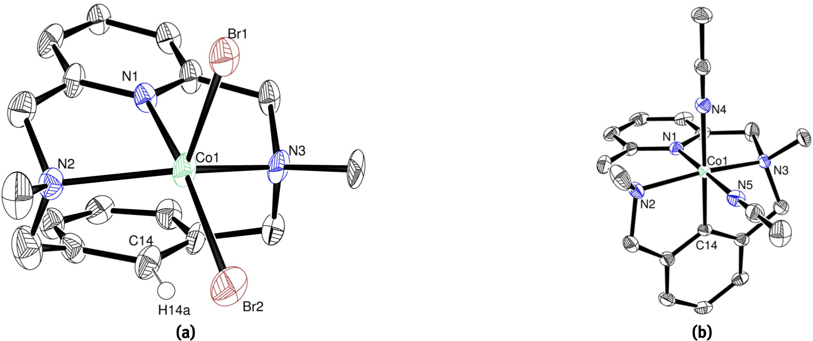 Figure 4.6. ORTEP structures for the high-valent cobaltacycles (a) Co-LXIII and (b) Co-LXIV-(MeCN)2. Adapted from [108].
