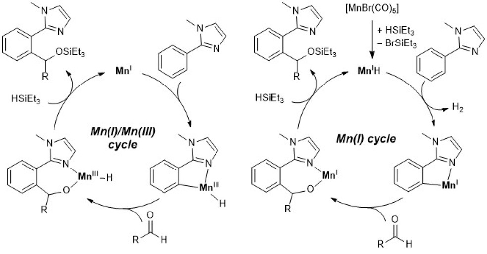 Scheme 5.3. Plausible mechanisms for the manganese-catalyzed coupling of aldehydes with arylimidazoles.