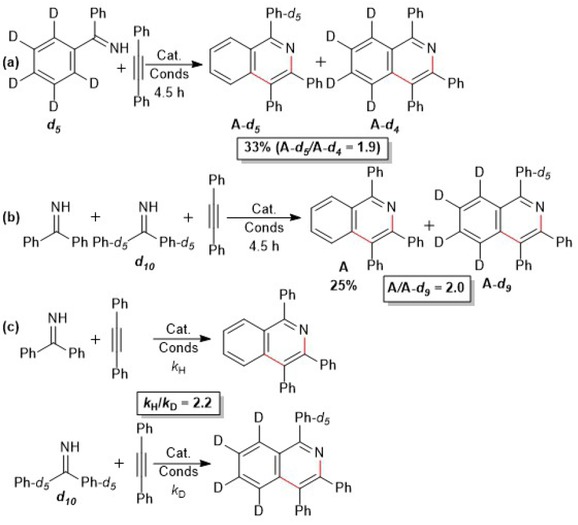 Scheme 5.13. Deuterated experiments for the manganese-catalyzed annulation of imines with alkynes; Cat. Conds: [MnBr(CO)5] 10 mol%, 105 °C, 1,4-dioxane as solvent). Adapted from reference [118].