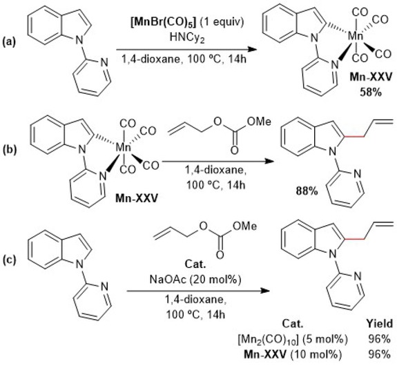 Scheme 5.28. Stoichiometric ad catalytic reactions with the manganacycle intermediate species. Adapted from reference [123].