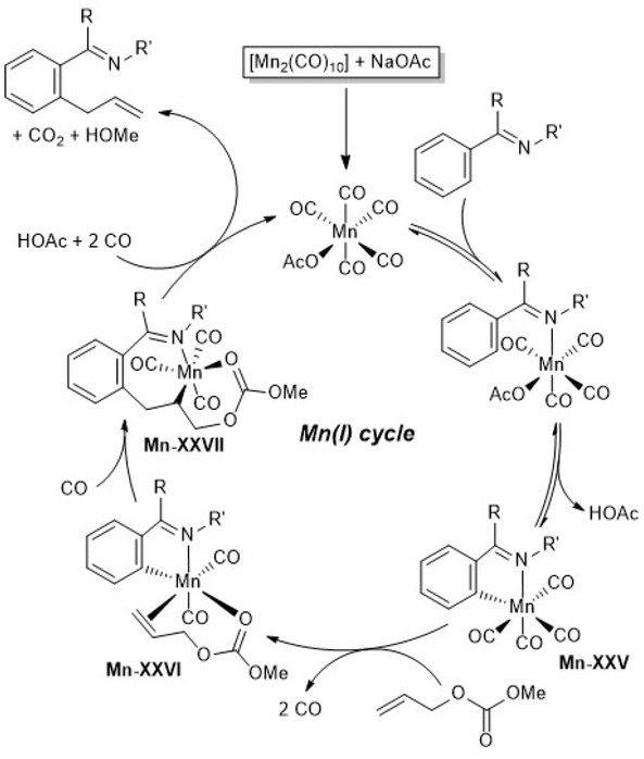 Scheme 5.29. Proposed mechanism for the manganese-catalyzed allylation of arenes/heteroarenes with allyl carbonates. Adapted from reference [123].