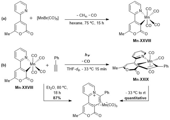 Scheme 5.31. Synthesis and reactivity of organometallic manganese species involved in the manganese-catalyzed oxidative annulation of 2-arylpyridines and alkynes. Adapted from reference [125].