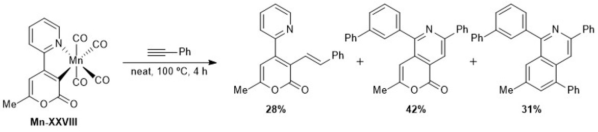 Scheme 5.32. Evaluation of the reactivity manganacycle Mn-XXVIII under an excess of phenylacetylene.