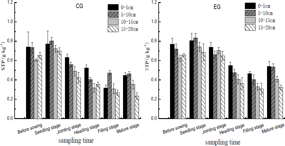 Figure 2 STP concentrations in the control group (CG) and the experimental group (EG) soils subject to poultry wastewater irrigation.