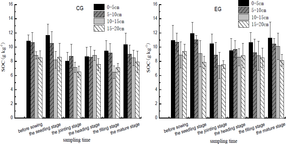 Figure 3 SOC concentrations in the control group (CG) and the experimental group (EG) soils subject to poultry wastewater irrigation.
