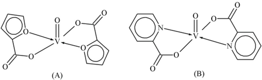 Scheme 2 Bis-(α-furancarboxylato)oxovanadium (IV).