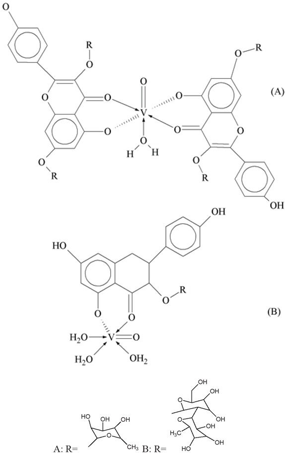 Scheme 7 Glycosylated flavonoids complexes (A) = M: L (1:2) & (B) = M: L (1:1).