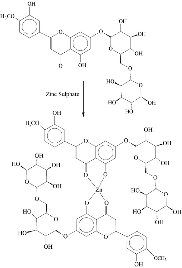 Scheme 9 Zinc-diosmin complex.