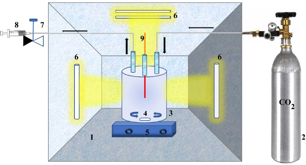 Figure 1 Schematic diagram of photocatalytic reduction experiment.