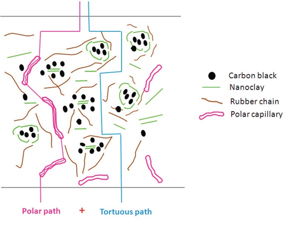 Scheme 1 A schematic model explaining plausible water vapor transmissibility mechanism in the rubber nanocomposite.