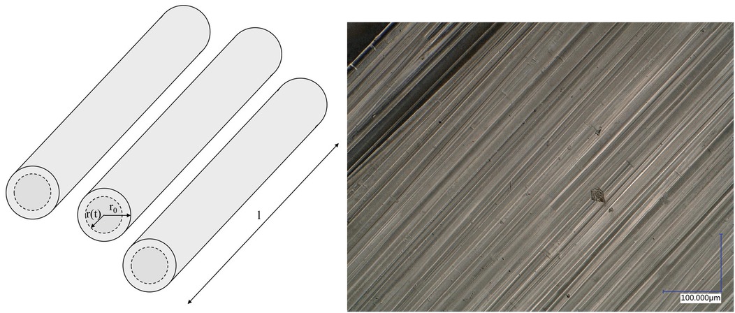 Figure 1 Left: Schematic representation of a fiber bundle and geometrical dimensions. Right: micrograph of a fiber bundle.