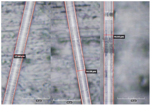 Figure 6 Digital microscope images of R-glass fibers from left to right: untreated; after 69 h in water at 60°C; after 3194 h in water at 60°C.