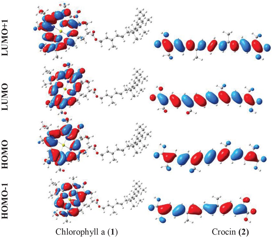Figure 3 The frontier and second frontier molecular orbitals of Chlorophyll a (1) and Crocin (2).