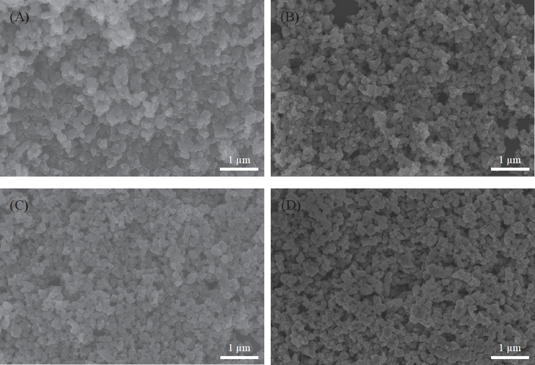 Figure 2 The SEM images of (A) undoped TiO2, (B) 0.25% Fe-doped TiO2, (C) 0.5% Fe-doped TiO2 and (D) 0.75% Fe-doped TiO2 powder.