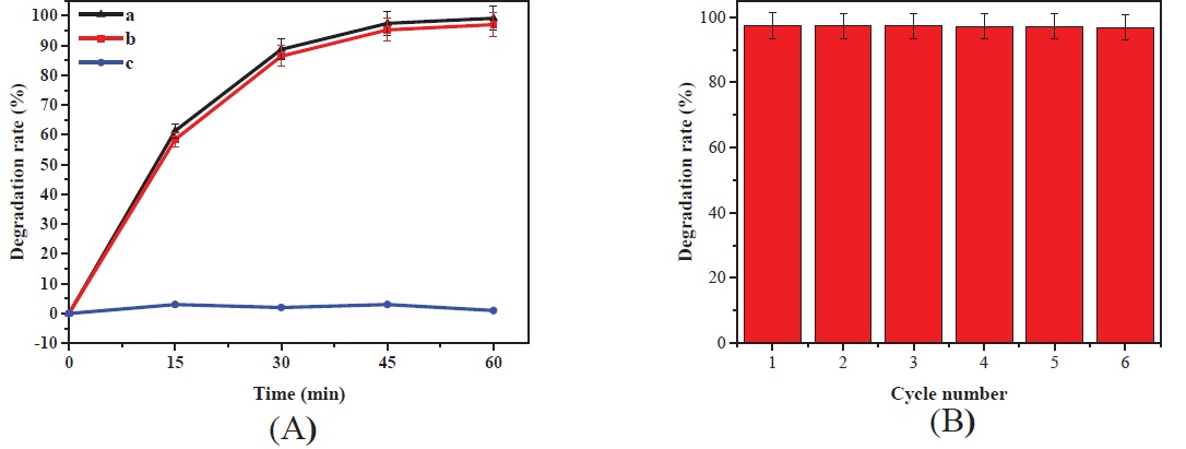 Figure 8 (A): Effect of the sunlight and physical adsorption on the degradation by Fe-doped TiO2 powder (a: the reaction in the sunlight, b: the reaction in the dark, c: the adsorption amount test of dye on Fe-doped TiO2). (B): Effect of sonocatalyst reusability on the sonocatalytic degradation of MO in aqueous solution.