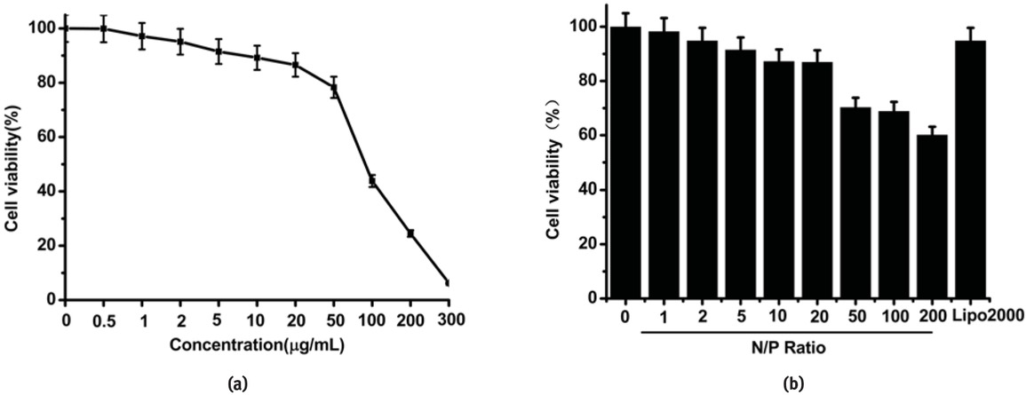 Figure 4 (a) Left: Cytotoxicity of PEG-PEI in PC-3 cells determined by a CKK-8 assay.xPC-3 cells were treated with PEG-PEI at various concentrations from 0 to 300 μg/mL. (b) Right: Cytotoxicity of PEG-PEI/miR-scr polyplexes in PC-3xcells at various N/P ratios from 0 to 200. The dose of miR-scr was 100nMxper well and incubation time was 24 hours.