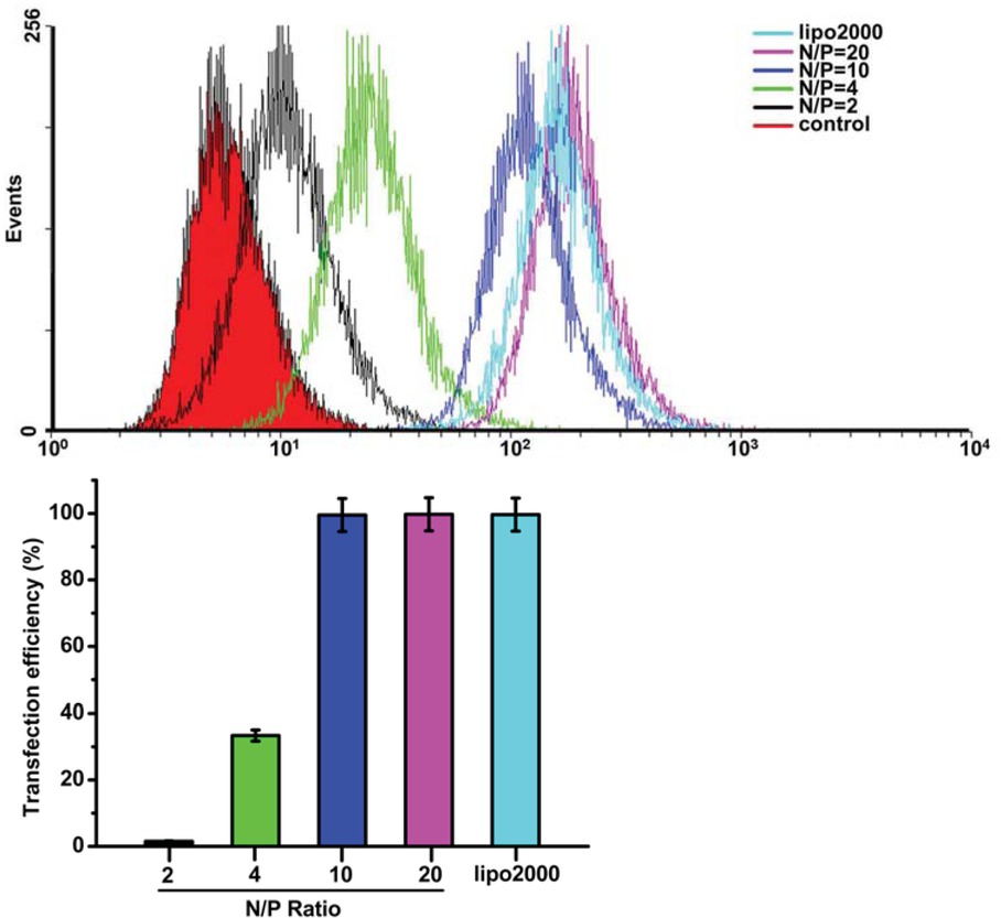 Figure 5 (a) The ratio of Cy3-positivexcells investigated by flow cytometry (n=3). Incubation time: 6 h. Dose: 100 nM miRNAs. (b) The transfection efficiencies varied at different N/P ratios.