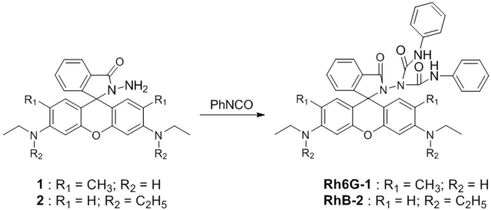 Scheme 1 Synthesis of the compounds Rh6G-1 and RhB-2. Reagent and experimental condition: anhydrous toluene, reflux.
