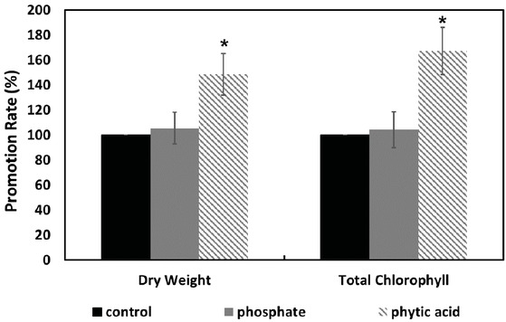 Figure 4 Comparison of phytic acid and phosphate for their effect on the dry weight and total chlorophyll content of E. gracilis . Concentration of phytic acid and phosphate was 1.085 mM and 6.51 mM, respectively (phosphorus content was 6.51 mM). Asterisks indicate the significant difference (p < 0.05) between experimental and control groups.