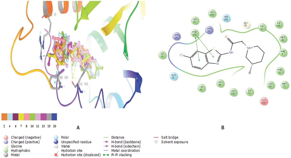 Figure: 1 Docked poses of compounds 2, 4, 6, 7, 8, 10, 11 and 13 (Yellow dashes: Hydrogen bonding; Blue and green dashes: π-π interactions) (A) and interactions of compound 6 in the active site of AeSCP2 (B).