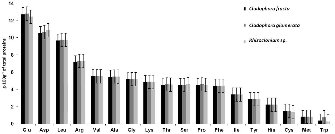 Figure 2 Amino acid profile in study algae (g·100g-1 of total protein).