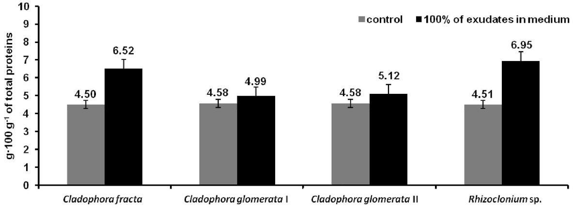Figure 4 Diagram of Proline concentration in algae cell in control and in medium with 100% of exudates (C. fracta with 100% of C. glomerata exudates, C. glomerata I with 100% of exudates of C. fracta, C. glomerata II with 100% of exudates of Rhizoclonium sp. and Rhizoclonium sp. with 100% of C. glomerata exudates).