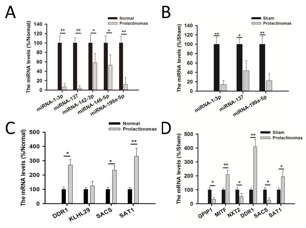Figure 2 A novel miRNA–gene network regulating prolactinoma formation in patients and animals. RT-qPCR analysis of five miRNAs and 12 target genes confirmed changes in mRNA levels. A: Five miRNAs from prolactinoma specimens. B: Similar changes in miRNA-1-3p, miRNA-137 and miRNA-199a-5p in the animal model. C: mRNA levels of miRNA-199a-5p target genes in prolactinomas. D: mRNA levels of miRNA-199a-5p target genes in the animal model.