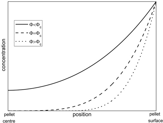 Figure 1 Concentration profiles in catalyst.
