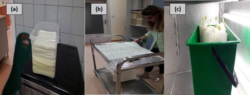 Figure 1 (a) Soaking of paper substrate in an algal extract (b) Putting 100 soybean seeds on a paper substrate (c) Storing of soybean seedlings in a growth chamber. Source: Sylwia Lewandowska (Photo).