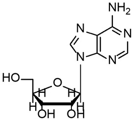 Figure 2 Structure of adenosine.