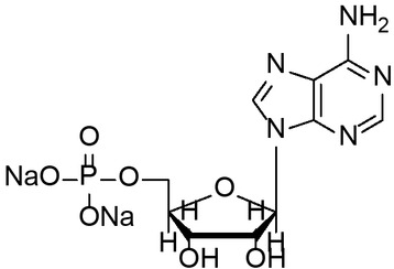 Figure 3 Structure of AMPNa2.