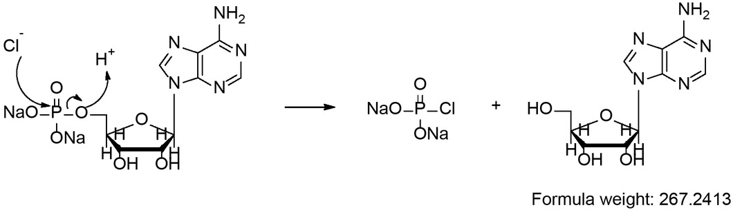 Scheme 2 Proposed mechanism of acidic hydrolysis of AMPNa2 under acidic condition with H+ ion acting as a protonating agent [8,30,31].