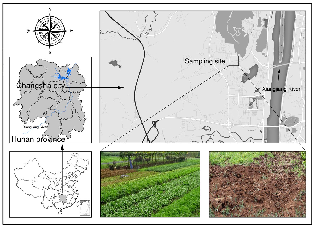 Figure 1 Location of the study area and sampling sites.