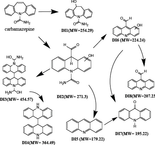 Figure 7 The proposed structures and pathways of the main photo-transformation detected intermediates (DI) (based on LC/MS scan of CBZ intermediates and Chiron et al. [34]).