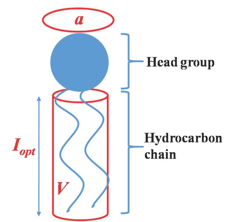 Figure 1 Packing parameters of phospholipid molecules.