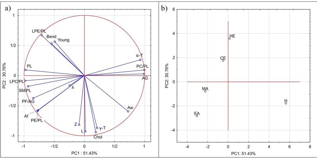 Figure 6 PCA loading plot (a) and score plot (b) of characteristics and nanomechanical properties of liposomes formed from different extracts (Table 3). The data on the composition of extracts were derived from our earlier work [13]. Abbreviations: PL –  phospholipids; AG  –  acylglycerols; Chol  –  cholesterol; PC/PL  –  phosphatidylcholine share in total phospholipids; LPC/PL  –  lysophosphatidylcholine share in total phospholipids; PE/PL - phosphatidylethanolamine share in total phospholipids; LPE/PL  –  lysophosphatidylethanolamine share in total phospholipids; SM/PL  –  sphingomyelin share in total phospholipids; PF/AG - polar fraction share in total acylglycerols; NPF/AG  –  non-polar fraction share in total acylglycerols; α-T - alfa-tocopherol; γ-T - gamma-tocopherol; L –  lutein; Z –  zeaxanthin; Young  – Young modulus; Bend  –  bending modulus; Af  –  adhesion force; Aw –  work of adhesion; h –  thickness of the lipid double layer.