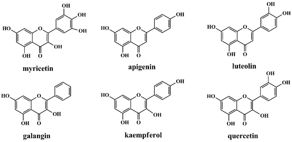 Figure 1 The studied chemical structures of dietary flavonoids.