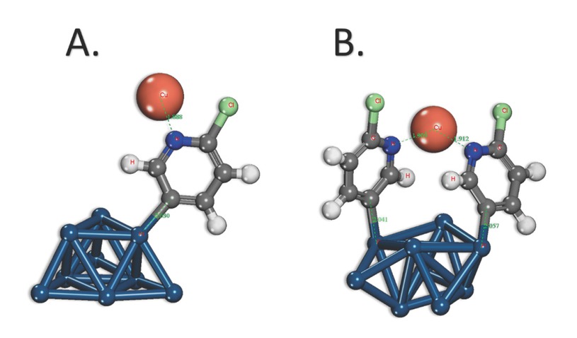 Figure 5 The optimized structures for the interaction of copper (II) ions with: A. one (mono-dentate) and B. two (bi-dentate) two attached chloropyridine groups.