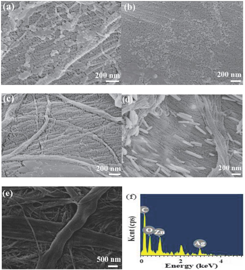 Figure 2 SEM images of ZAC composite samples (a) ZAC-8, (b) ZAC- 9, (c) ZAC-10, (d) ZAC-12, (e) pure cellulose and f) EDS of ZAC-12.