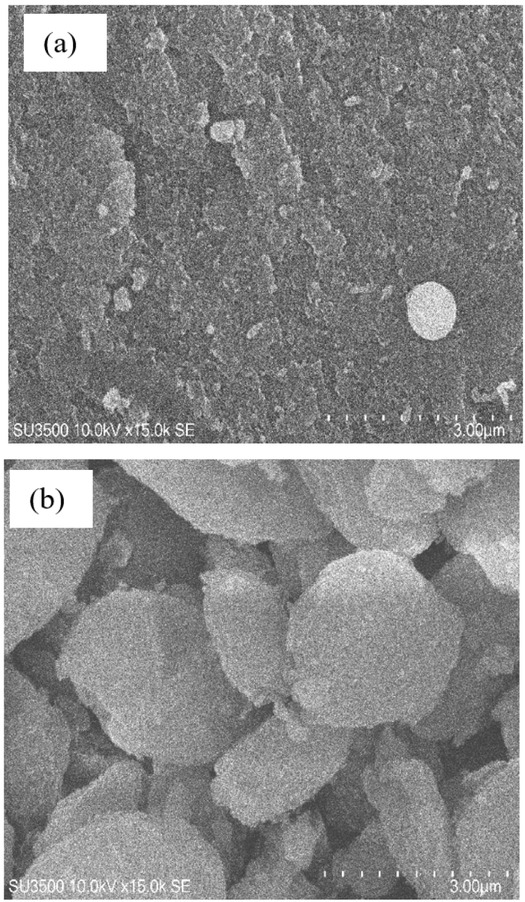 Figure 7 SEM image of the SBA-15 samples: (a) SBA_3 and (b) SBA_5.