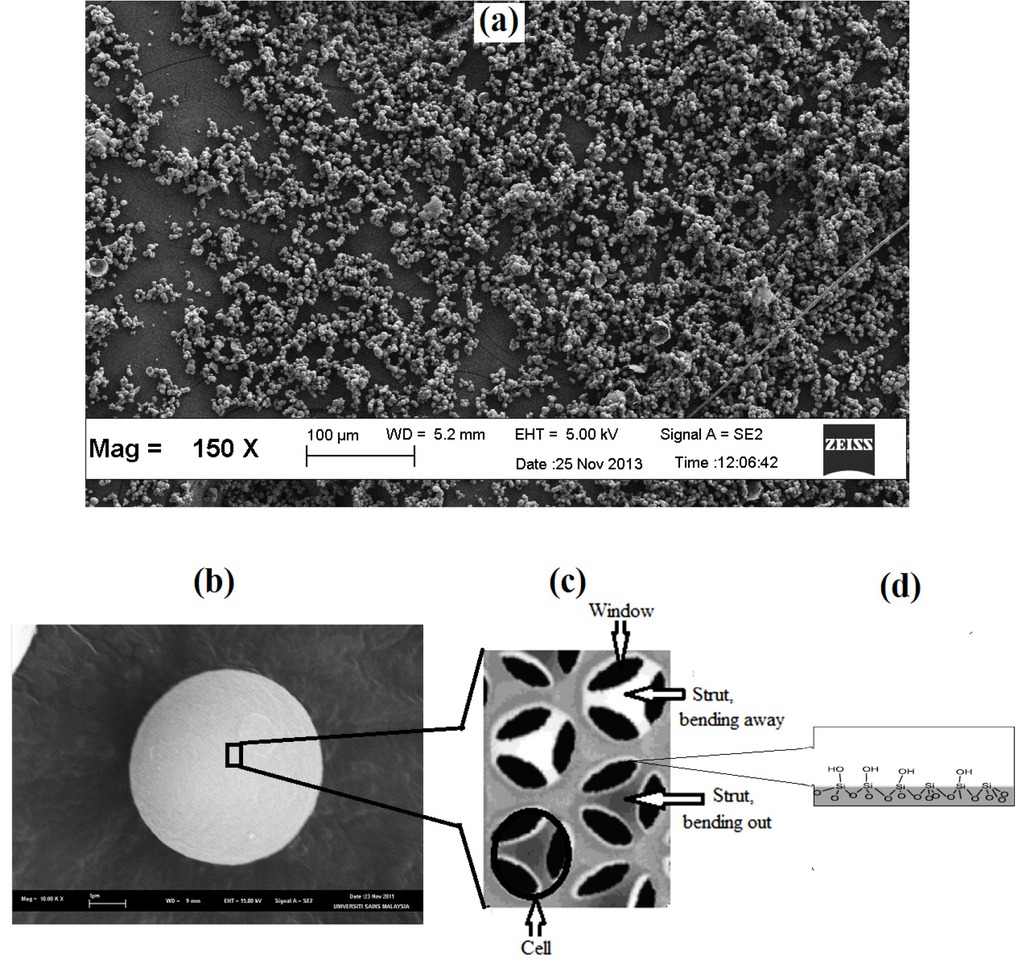 Figure 1 SEM image of (a) spherical MCF silica particles; (b) a single spherical MCF particle at higher magnification; (c) Schematic cross section of the structure exhibited by MCF silica; (d) Silanol groups (≡Si-OH) on wall of MCF silica.