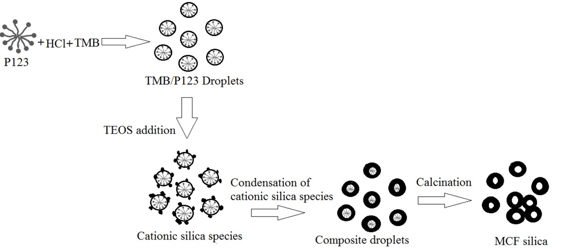 Figure 3 Formation of MCF silica particles.