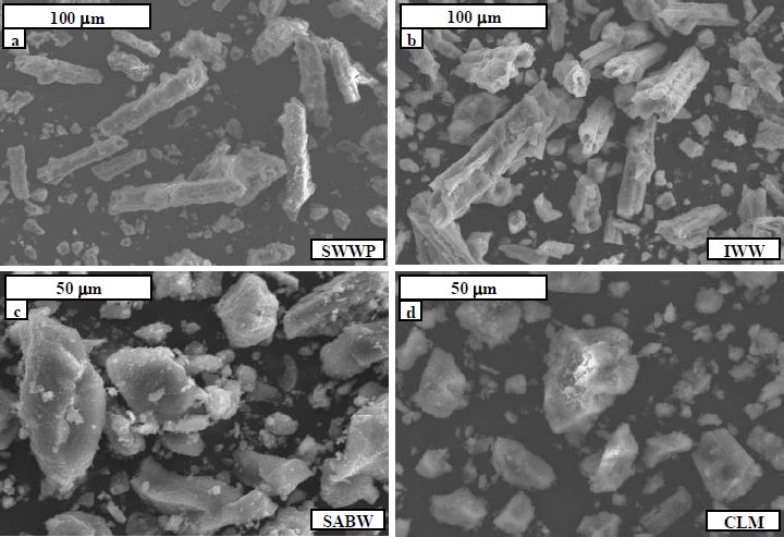 Figure 1 Scanning electron microscope images of struvite crystals produced from: synthetic wastewater of phosphoric acid industry SWWP (a), real phosphorus mineral fertilizer industry wastewater IWW (b), synthetic animal breeding wastewater SABW (c) and real cattle liquid manure CLM (d).
