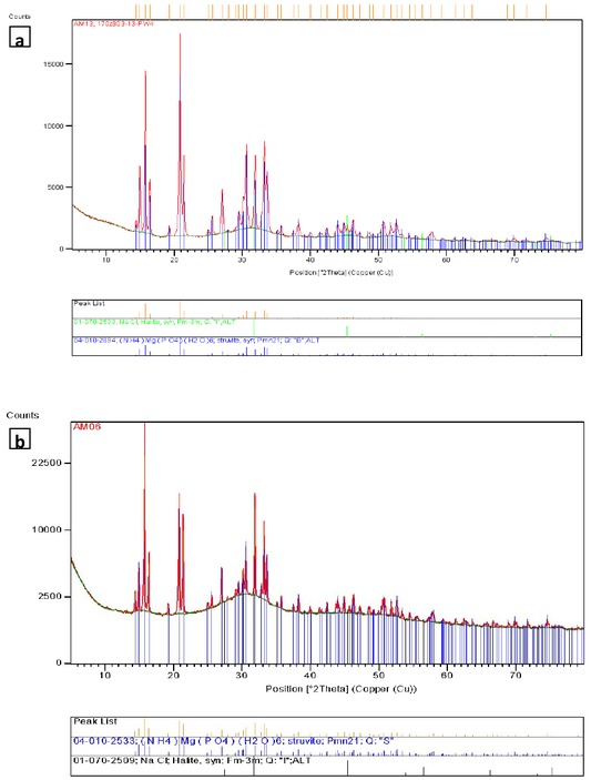Figure 2 X-ray diffraction pattern of product from SWWP (a) and SABW (b) with characteristic peaks of crystalline phases: struvite and halite; a large amount of amorphous phase is visible as characteristic background hump.