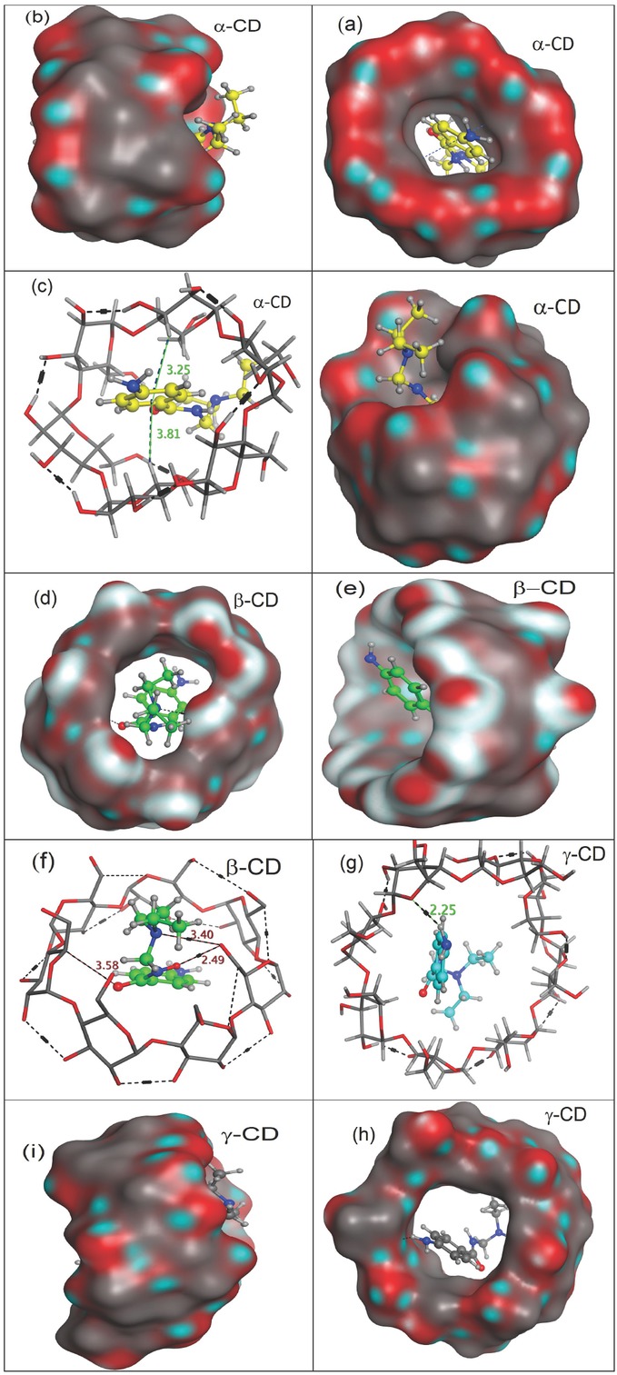 Figure 5 The predicted orientations and binding interactions of procainamide within the cavity of three cyclodextrins (a) α-CD, (b) β-CD, and (c) γ-CD from the table view of the wide edge (a, d, and h), side view (b. e and i), and as stick molecular depiction (c, f and g). Hydrogen bonds and hydrophobic interactions are demonstrated as magenta and green dashed lines, respectively.
